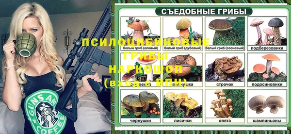 стаф Нязепетровск