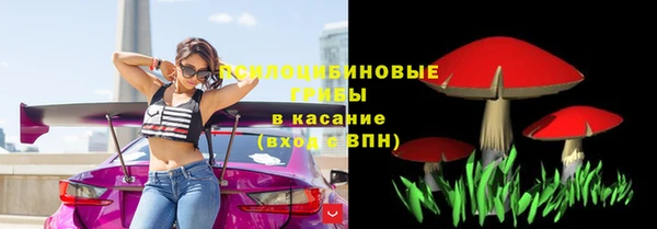 кристаллы Няндома