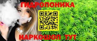 ПСИЛОЦИБИНОВЫЕ ГРИБЫ Аргун