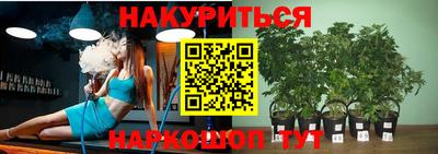 ПСИЛОЦИБИНОВЫЕ ГРИБЫ Аргун