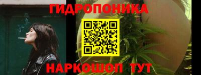прущие грибы Абинск