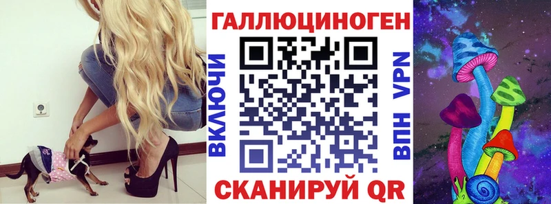 наркотики  Североморск  Псилоцибиновые грибы Cubensis 