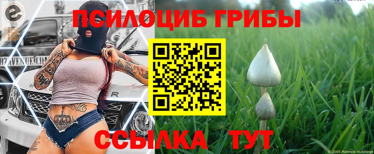 Галлюциногенные грибы ЛСД  Галлюциногенные грибы Magic Shrooms  Североморск 