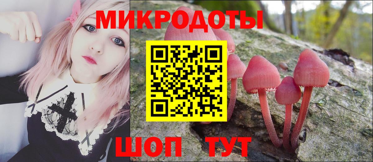Галлюциногенные грибы мицелий  Вход с VPN  Североморск 